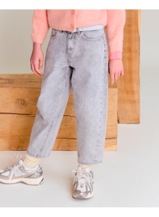AO76 coco pants blake light grey glitter