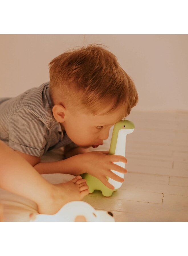 Mary's led lamp dinosaur