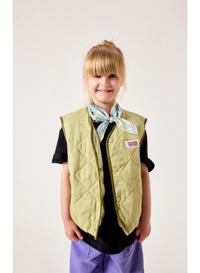 American vintage yupibam jacket reptile