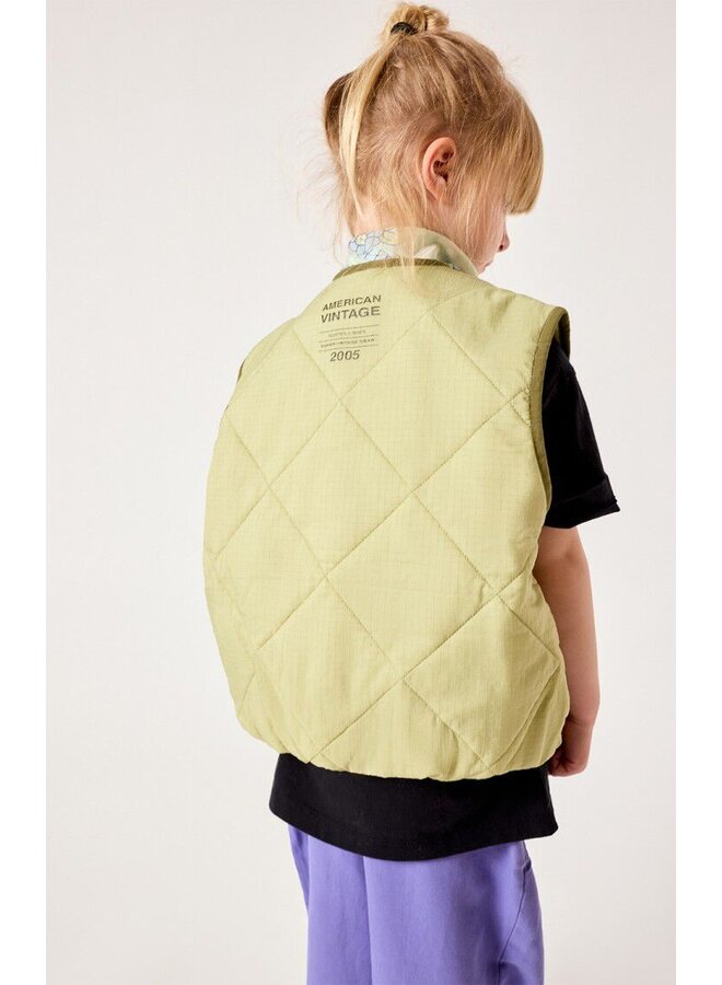 American vintage yupibam jacket reptile