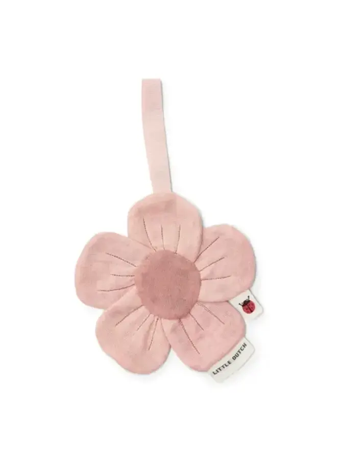 Little dutch speendoekje bloem fairy garden