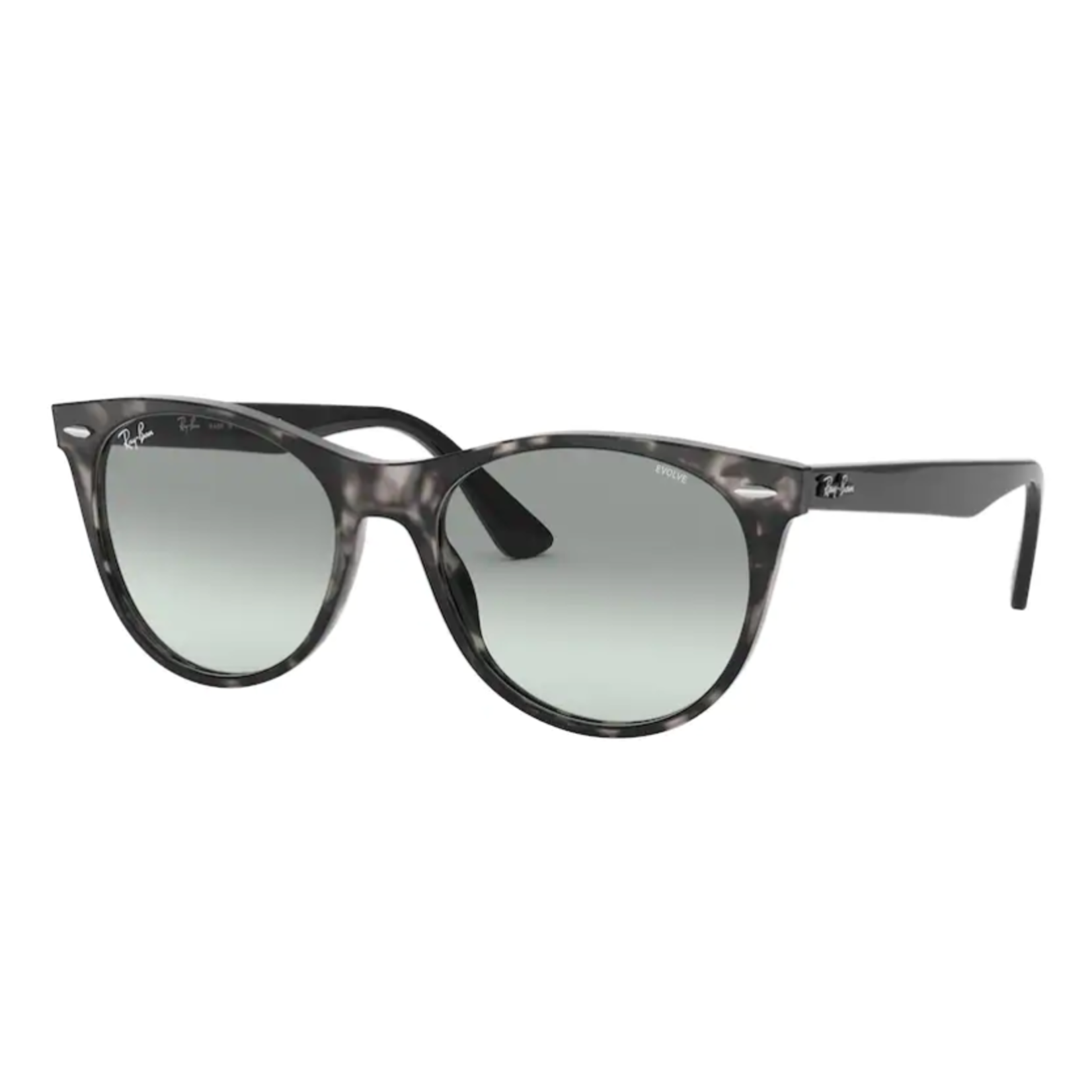 Ray-Ban Ray Ban - 2185 - 1250/AD