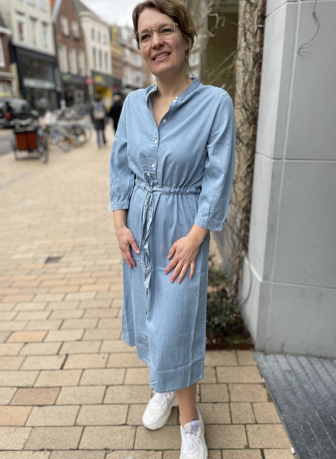 Moss jaine denim dress