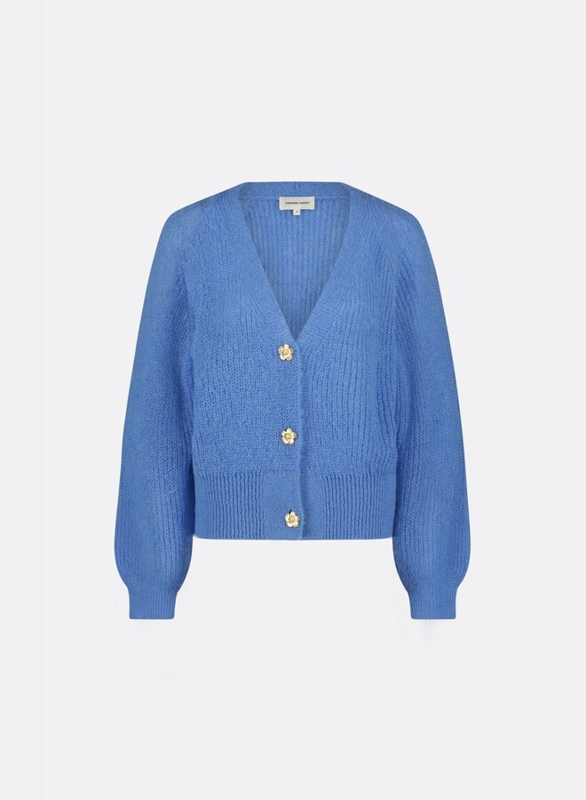 Fabienne C. casey cardigan blue