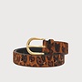 Fabienne C. hairy belt sugar/black cognac leo
