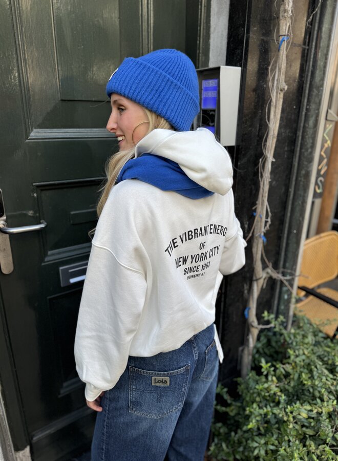 Penn&Ink W25T1211LTD hoodie print milk antra