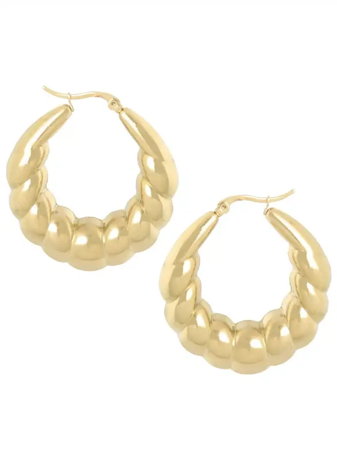 Ellen beekmans creolen 'paris' (4.5cm)