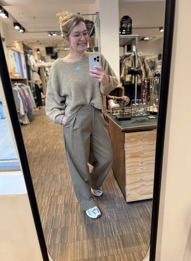 American V. nam10 pant liane