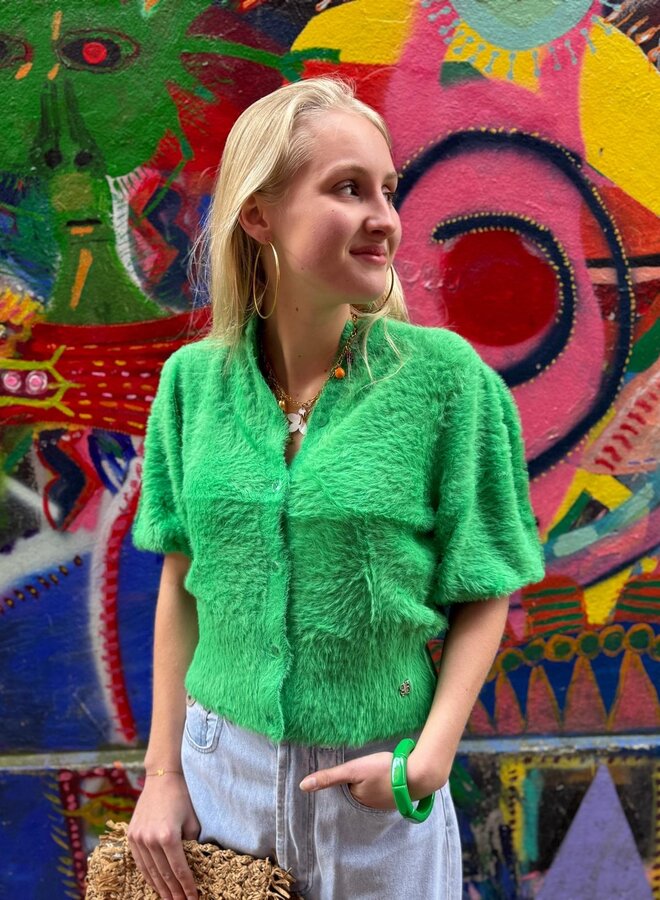 Dante6 S26 meganne cardigan green