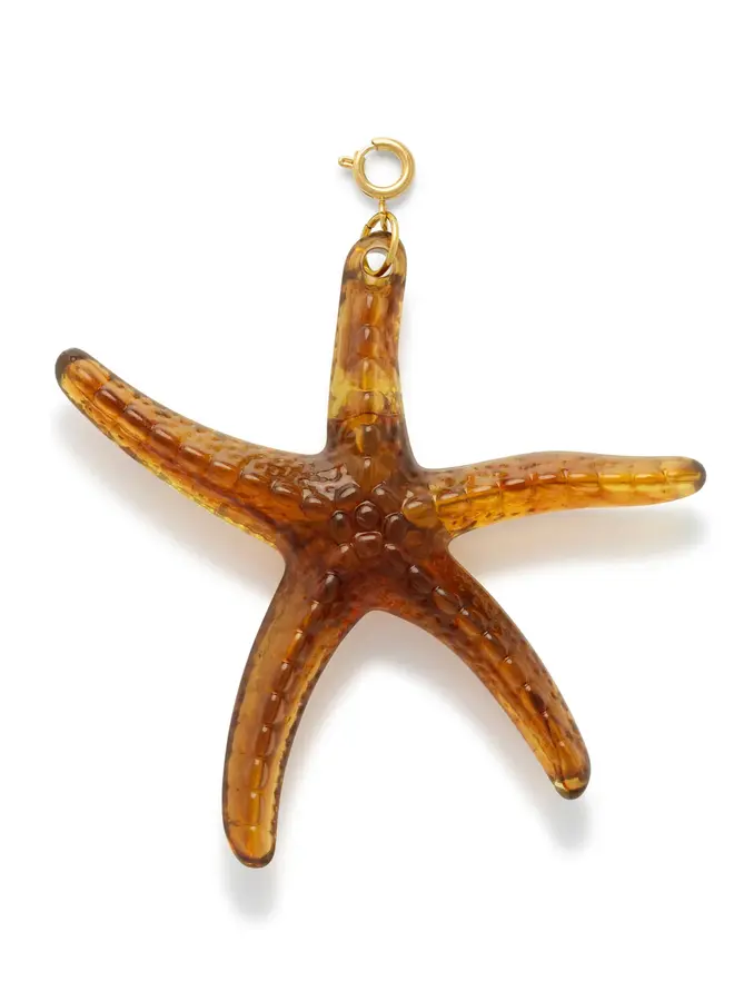 Le Veer oversized seastar brown bedel