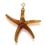 Le Veer oversized seastar brown bedel