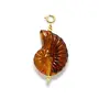 Le Veer shell bedel brown