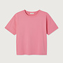 American V.  fiz02 tee eglantine vintage