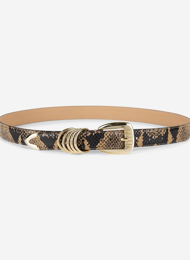 Ibana ary snake belt camel