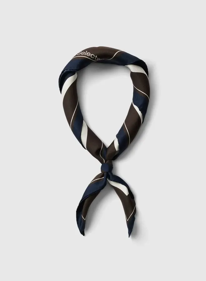 SF sara silk scarf delicioso