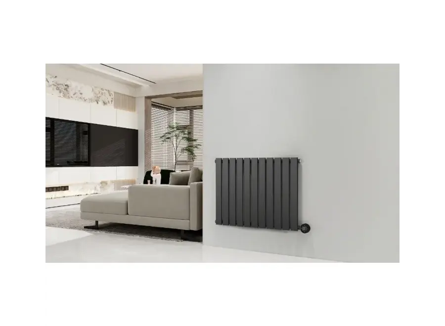 Elektrische radiator horizontaal zwart 800Watt Calysta