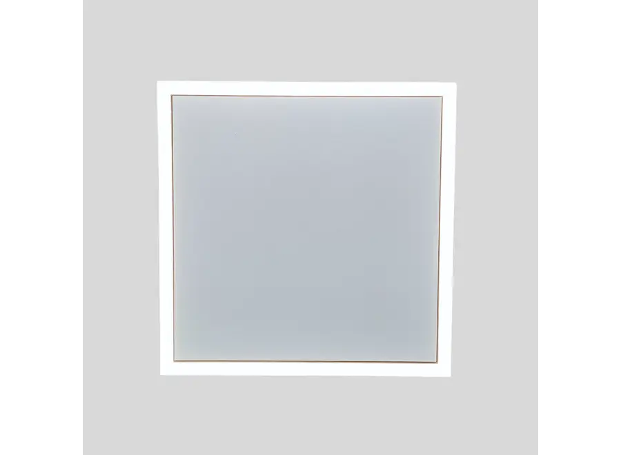Ecosun LED Set - Infrarood paneel met LED frame - 300W & 700W