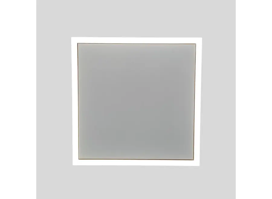 LED verlichting voor Ecosun paneel 60 x 60 cm