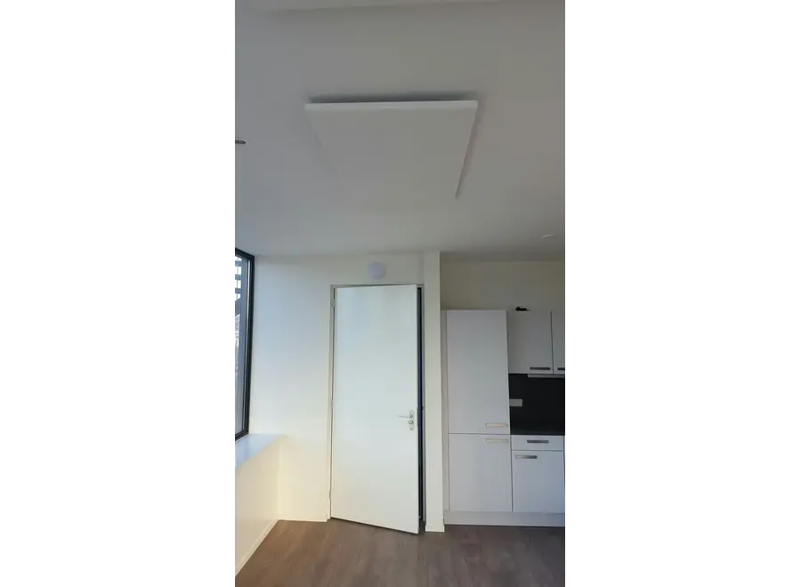 Infrarood Paneel Serie E 60 x 120 cm - 700 Watt