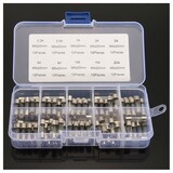 Assortiment glaszekeringen 5x20 in kunststof box (set)