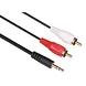 Tulp kabel 3.5 mm naar 2 x rca audioplug 5m Tulp kabel 3.5 mm naar 2 x rca audioplug 5m