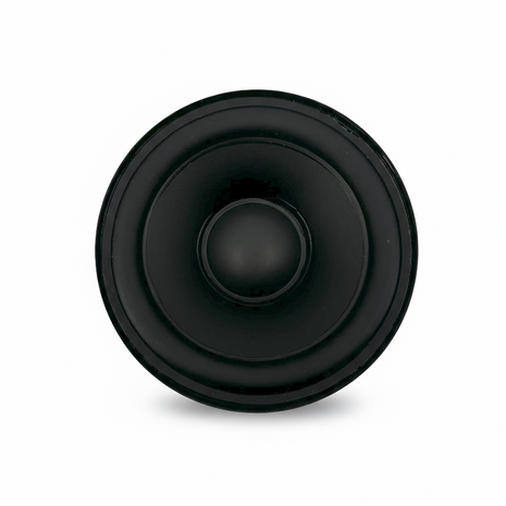 Speaker 4 Ohm 20 Watt Speaker 4 Ohm 20 Watt