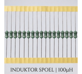 Spoel 100uH