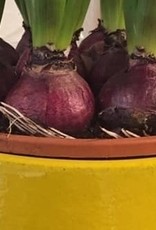 Serax Plantenpot Tabor -M geel