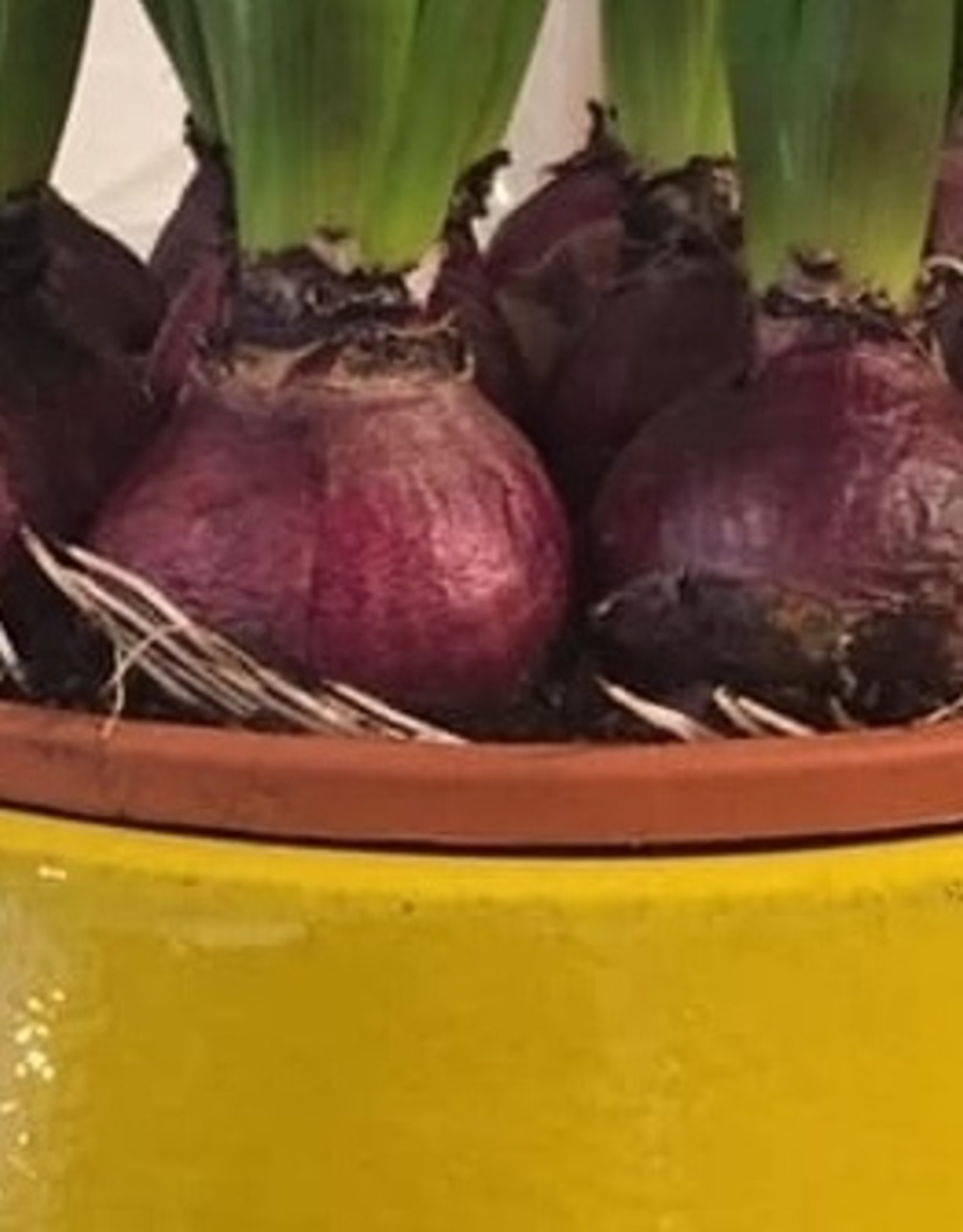 Serax Plantenpot Tabor -M geel