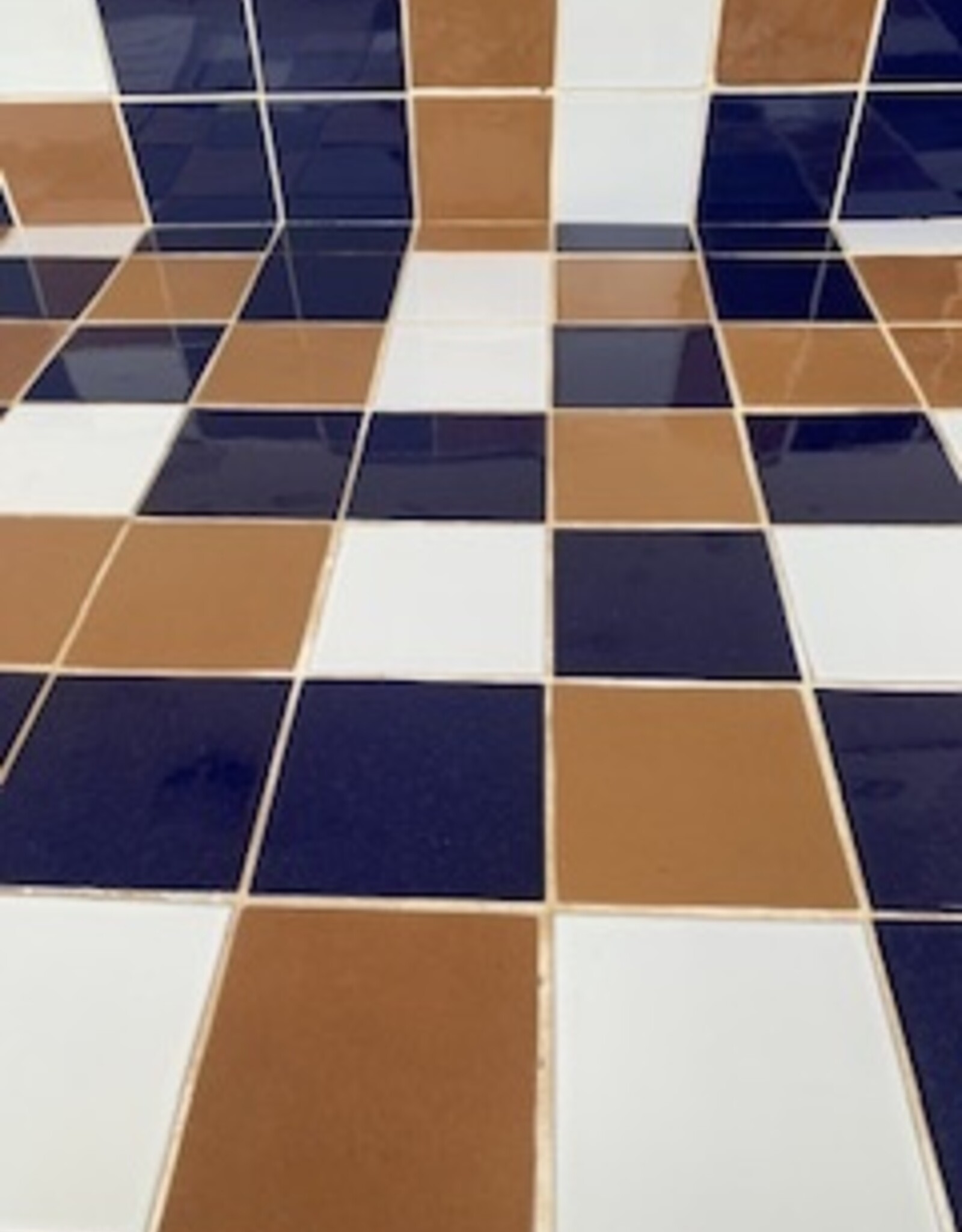 Duro Bekertje Terra - chocolat