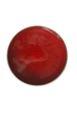 Jars Céramistes Bord XXS Tourron cerise