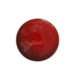 Jars Céramistes Plate XXS Tourron cerise