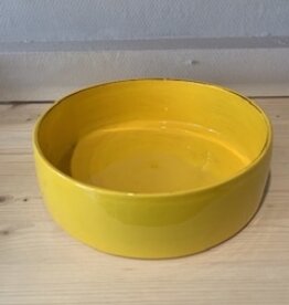 Argile et couleurs Dish  - yellow