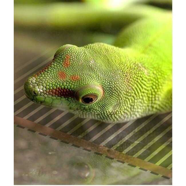 Wärmematte QH 28x28cm mit Dimmer und On/Off-Schalter