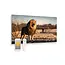 Zweite Chance - Bedrucktes Glas-Infrarotpaneel mit WLAN und Fernbedienung Löwe 100x59 580 Watt - Default