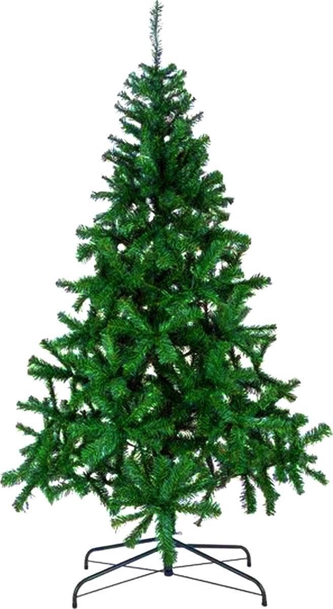 Kerstboom met huis Kleurplaat - Kinderen Kleurplaat