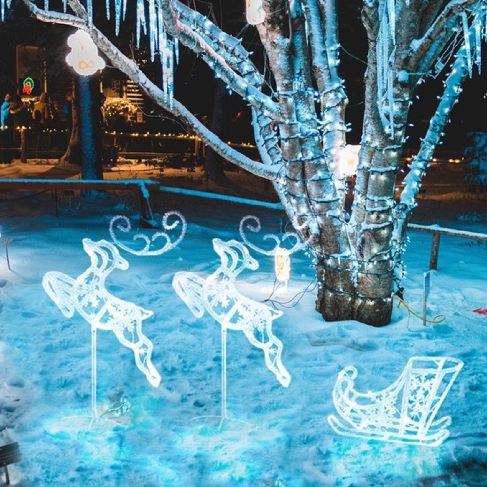 AG Store Luxe Kerstverlichting buiten en binnen - Rendier met Slee – 2 rendieren en 1 Slee - 3D verlichte kerstfiguren