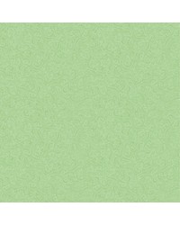 Napperon Airlaid Lias Pistache 80x80cm, 65 gram bestellen Napperon Airlaid Lias Pistache 80x80cm, 65 gram bestellen