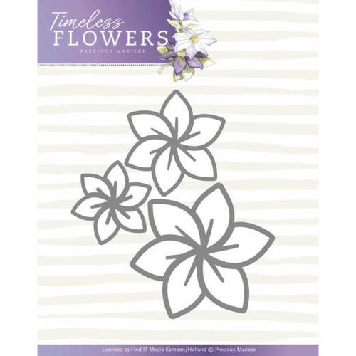 Precious Marieke PM10123 - Mal - Precious Marieke - Timeless Flowers - Clematis Trio