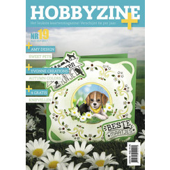 HZ01704 - Hobbyzine plus 19