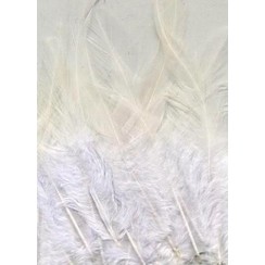 12235-3509 - Feathers, Pure White, 15pcs