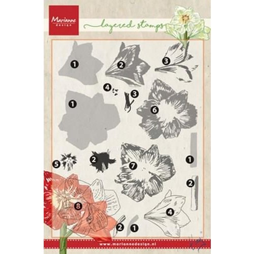 TC0860 - Clear stamp Tiny's amaryllis (layering)