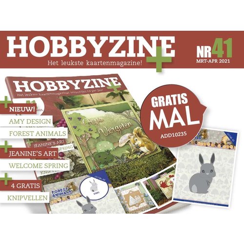 Hobbyzine Plus HZ02102 - Hobbyzine Plus 41