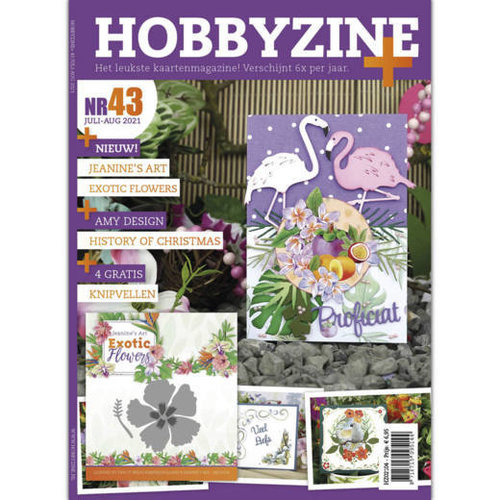 HZ02104 - Hobbyzine Plus 43