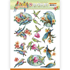 SB10621 - Uitdrukvel - Amy Design - Colourful Feathers - Hummingbird