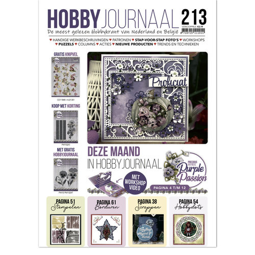 HJ213 - Hobbyjournaal 213