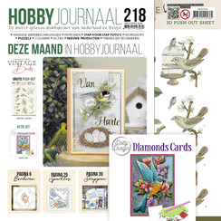 SETHJ218 - Hobbyjournaal SET 218