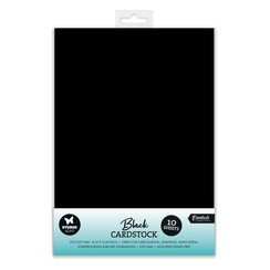 Studio Light Paper Set Consumables Black Cardstock 250 gsm nr.41 SL-CO-PS41 210x297x6mm