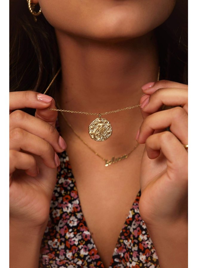 Ketting Zodiac Goud