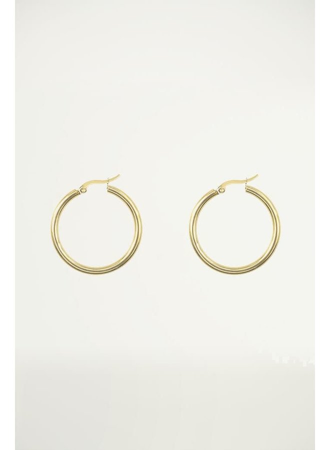 Oorringen Basic Klein Goud